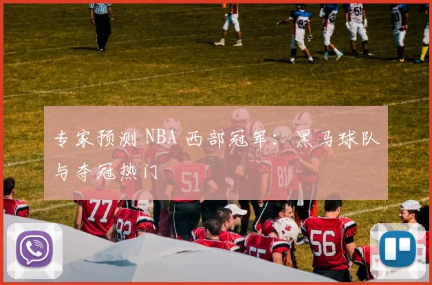 专家预测 NBA 西部冠军：黑马球队与夺冠热门